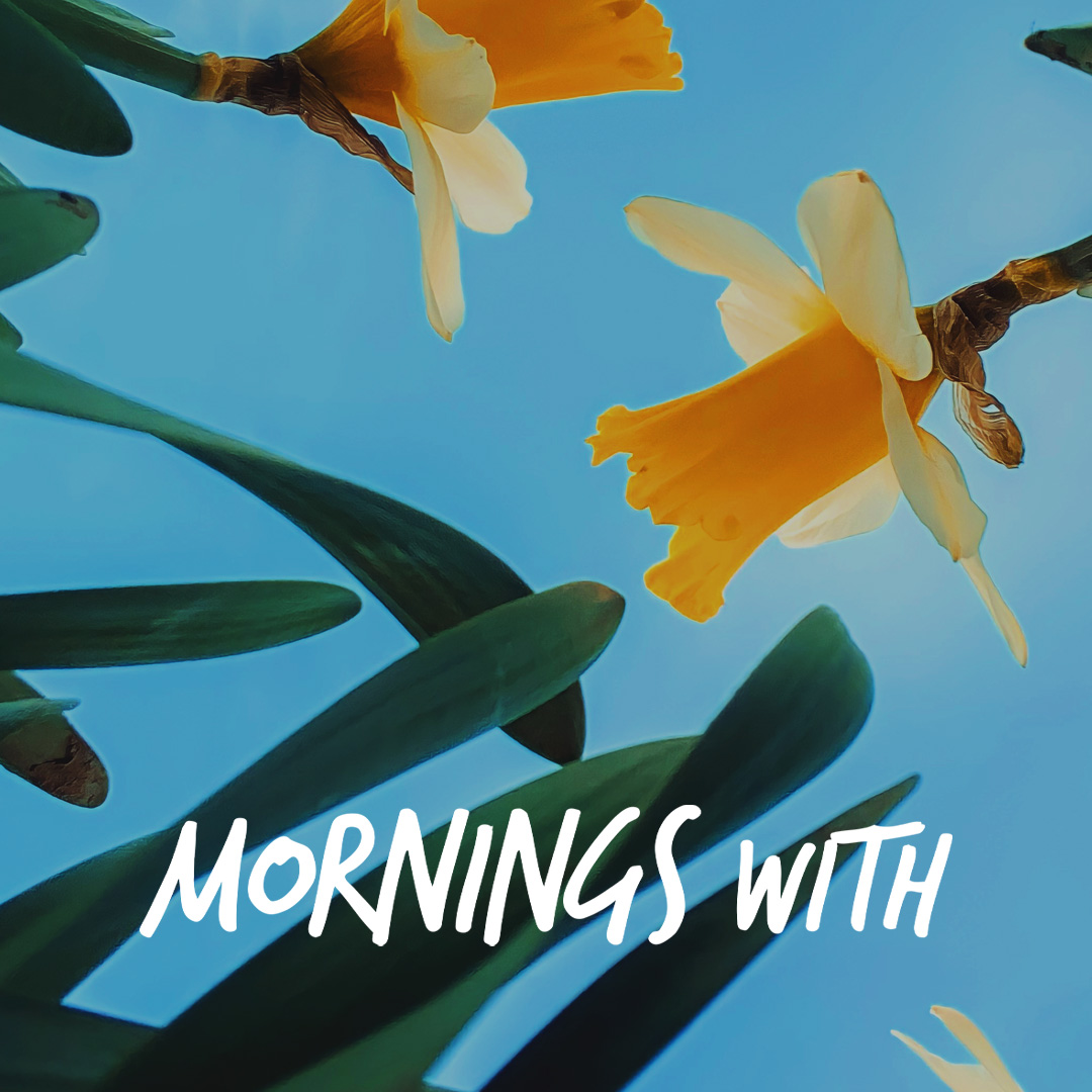 Mornings With Mx 114