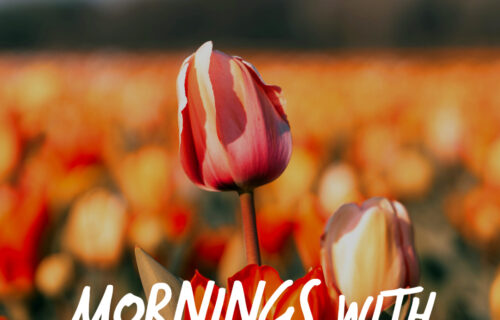 Mornings With Mx 115