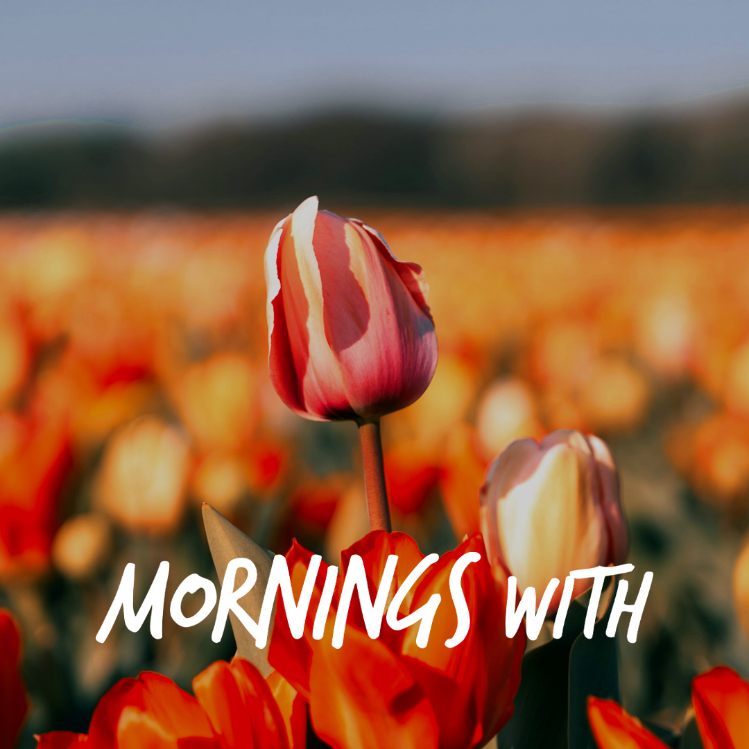 Mornings With Mx 115