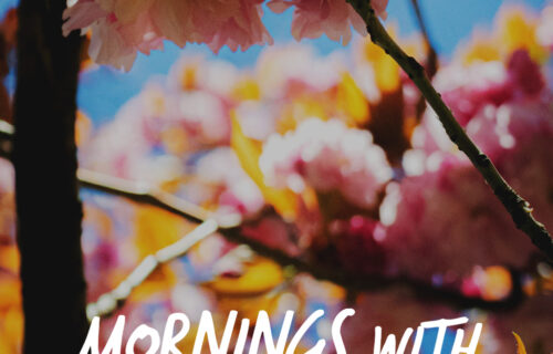 Mornings With Mx 116