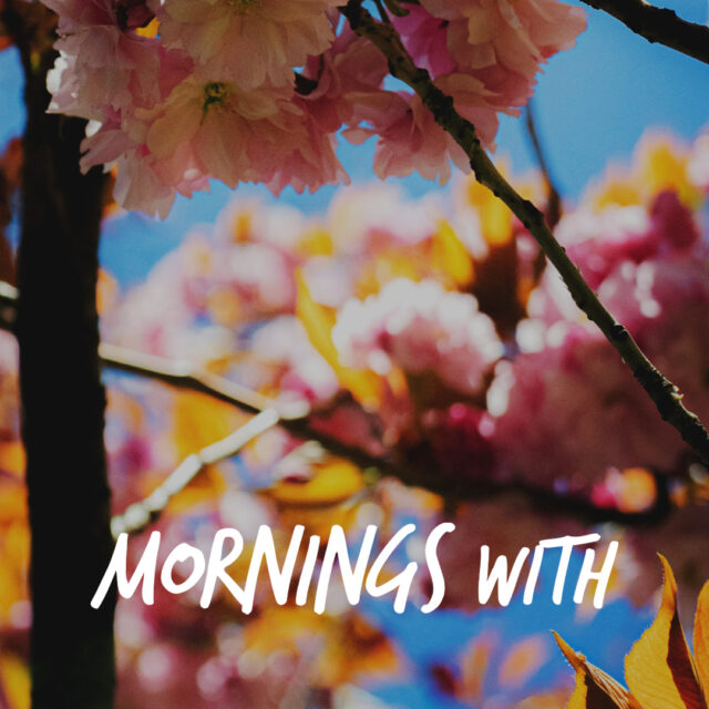 Mornings With Mx 116