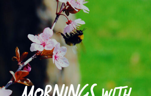 Mornings With Mx 117