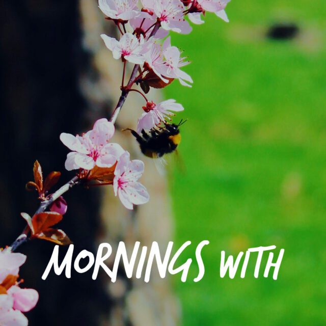 Mornings With Mx 117