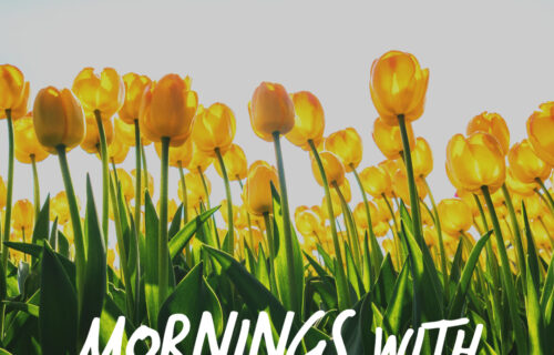 Mornings With Mx 118