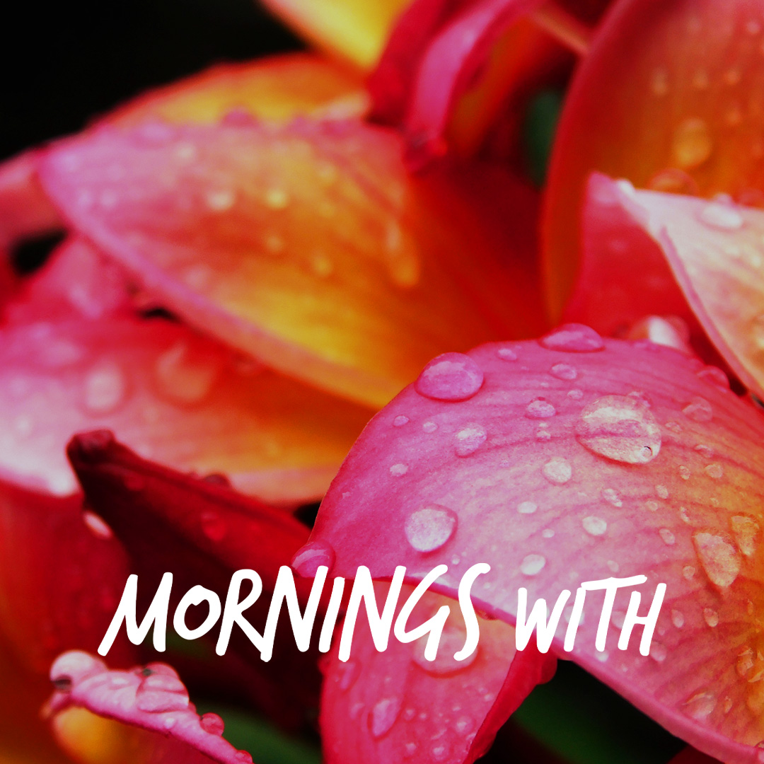 Morning With Mx 120