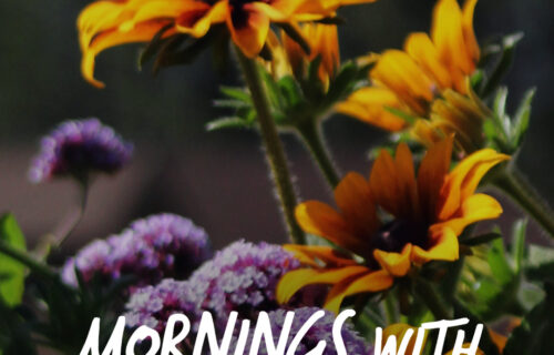 Mornings With Mx 122