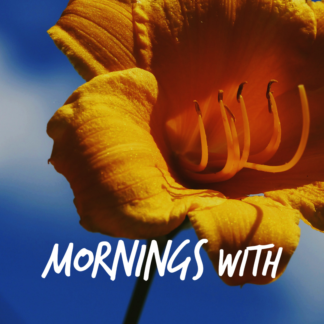 Mornings With Mx 123
