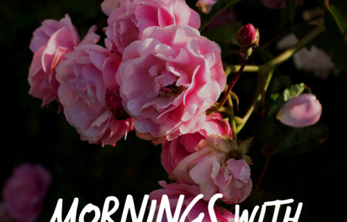 Mornings With Mx 124