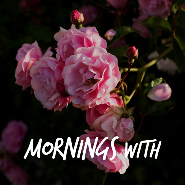 Mornings With Mx 124