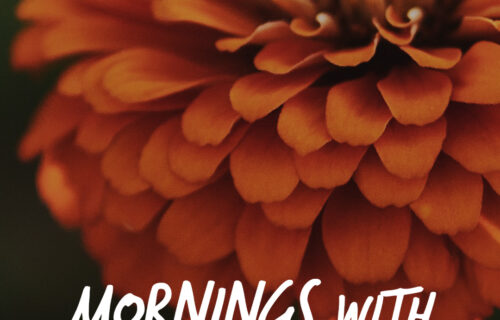 Mornings With Mx 126