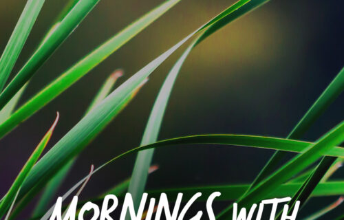 Mornings With Mx 128