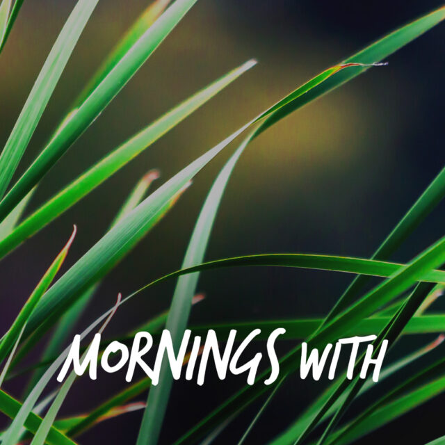 Mornings With Mx 128