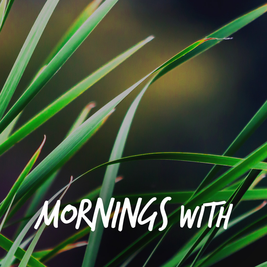 Mornings With Mx 128