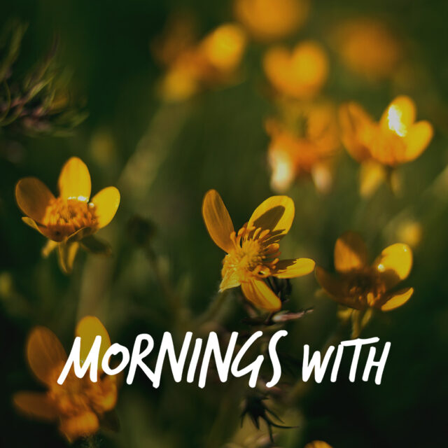 Mornings With Mx 130