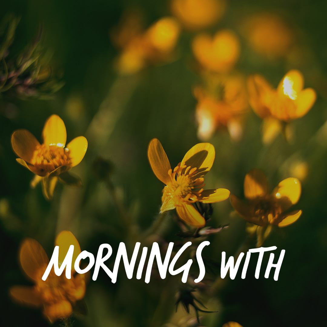Mornings With Mx 130