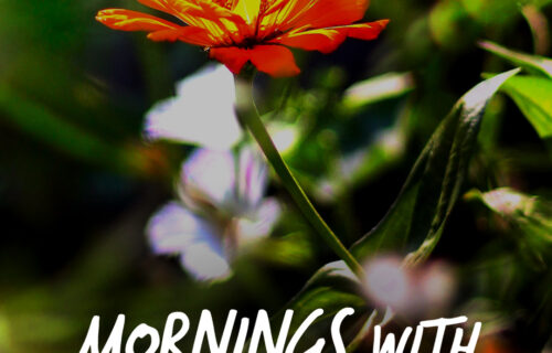 Mornings With Mx 131