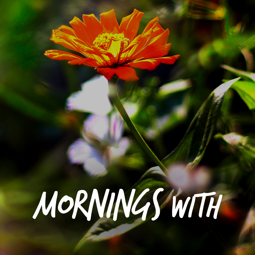Mornings With Mx 131